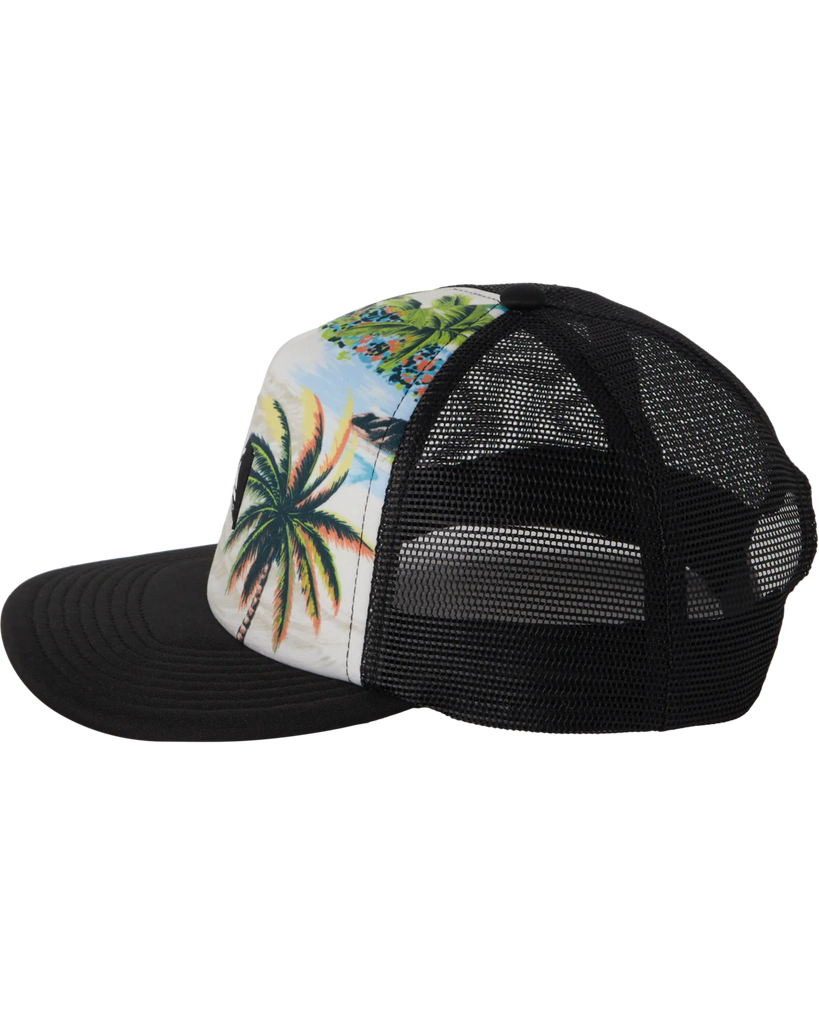 Gorra Quiksilver Emu Coop Dna Island Aquifer