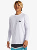 Camiseta de Licra Quiksilver Everyday UPF50 LS White