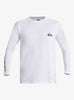 Camiseta de Licra Quiksilver Everyday UPF50 LS White